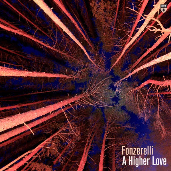 A Higher Love - Single