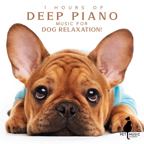 1 Hours of Deep Piano Music for Dog Relaxation!