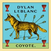 Coyote artwork