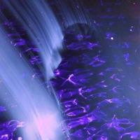 Fluidity - Single - MRJay