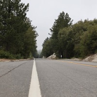 Opportunity Cost - Single - gonefornow