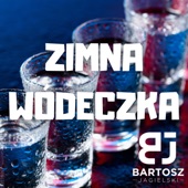 Zimna Wódeczka artwork