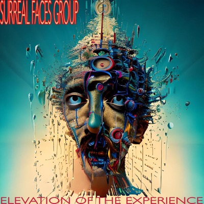 Elevation of the Experience
