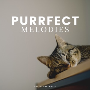 Purrfect Melodies
