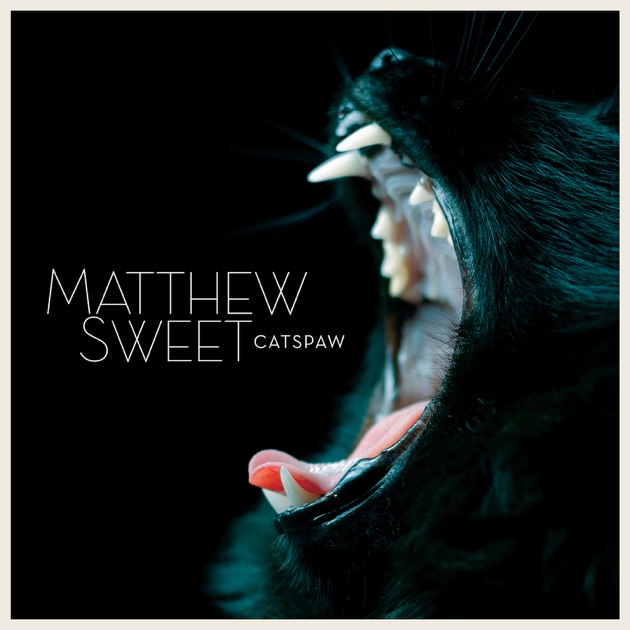 100% Fun - Album by Matthew Sweet - Apple Music