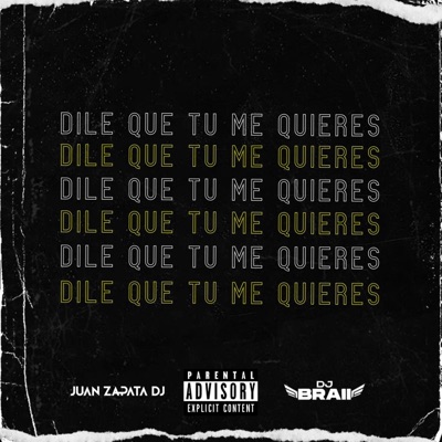 Dile Que Tu Me Quieres (feat. DJ Braii) - Single
