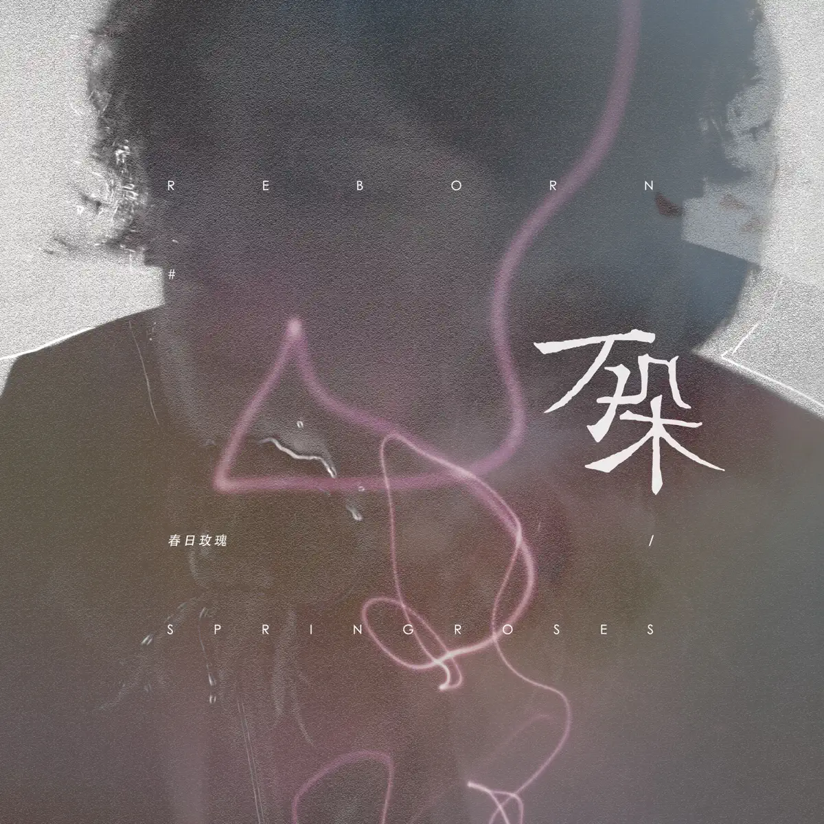 春日玫瑰 - 萬朵 (2023) [iTunes Plus AAC M4A]-新房子
