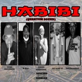 Habibi (Quantum Sound) (feat. R-Bee, De’vine 07, Drumonade & Tumi Sdomane) artwork