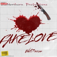 Fake Love - Single - Whit3noize