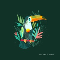 Isla Verde - Single - Zoonido