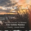Joseph Walsh Che Gelida Manina Che Gelida Manina - Single