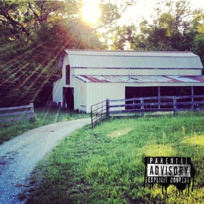 Summer Vibin - Single