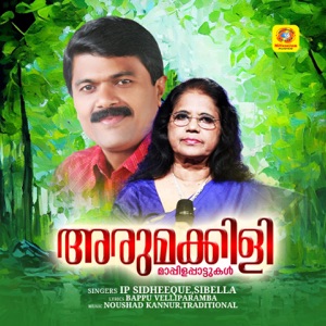 Arumakkili