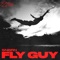 Fly Guy artwork