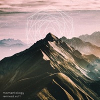 Momentology Remixed, Vol. 1 - EP - Momentology