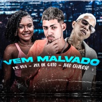 Vem Malvado - Single - Zoi De Gato, jheo chavoso, Mc Bea & Vitinho Na Base