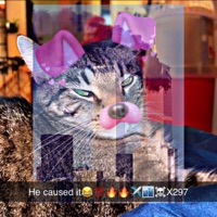 Twintowers / 9/11 - Single - Kys devi