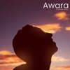 Awara - Single