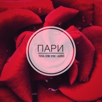 Пари - Single - TVXA, JDM VIBE & LaBro