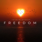 Freedom artwork