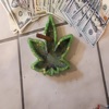 Cellmoney45
