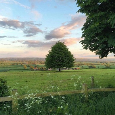 pretending (feat. antadot.) - Single