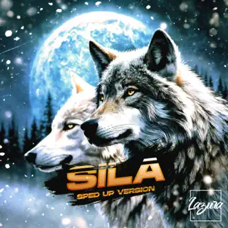 Sila (Sped Up Version) by Neznaen & Digital Nottich song reviws