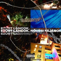 EZÜST LÁNCOK, NÖVÉSI FÁJÁSOK - sikkboy kiddie