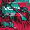 Stream & download Voices - Single