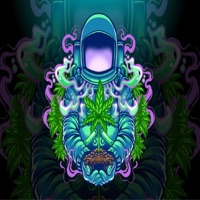 Woke Up (feat. Damien Quinn & Izzy Dunfore) - Single - Side Weighs