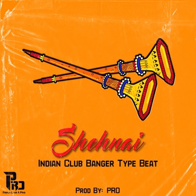 Feels Like A Pro - Shehnai