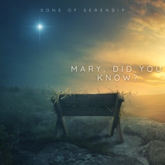 Mary, Did You Know? - Single