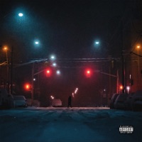 R.I.P. (feat. SAXX, ResMet, Vyper, Crime & MasterCaps) - Single - Duelle2L