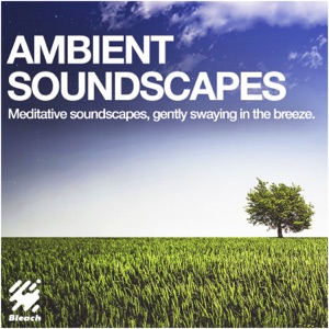 Ambient Soundscapes