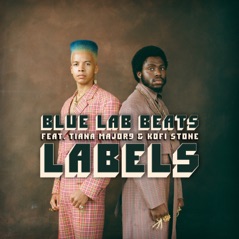 Labels (feat. Tiana Major9 & Kofi Stone) - Single