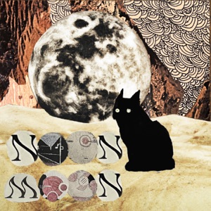 Noonmoon
