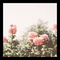 Lullabies (Longlost Flip) - Single - Longlost