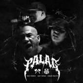 Palag (feat. Ian Tayao & Reg Rubio) artwork