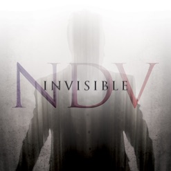 INVISIBLE cover art