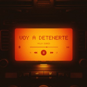 Voy a detenerte