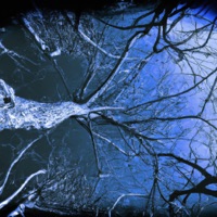 1 - Single - Freemoneyluv