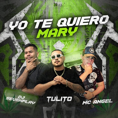 Yo te quiero Mary (feat. DJ Sevenplay & Mc Angel) - Single
