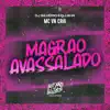 Stream & download Magrão Avassalado - Single