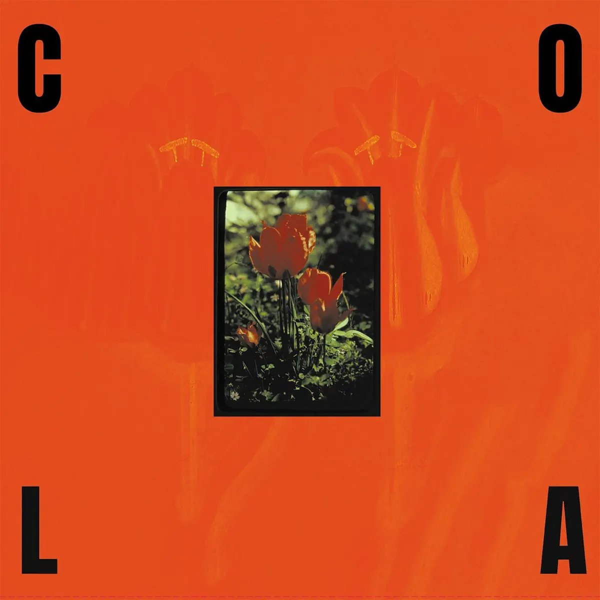 Cola - The Gloss (2024) [iTunes Plus AAC M4A]-新房子