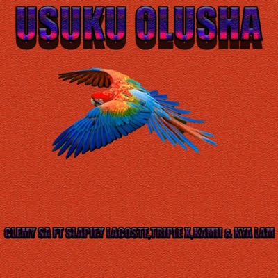 Usuku olusha (feat. Slapiey Lacoste, Triplex & Kya Lam) - Single