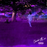 Chadwick Boseman - Single - Priceless