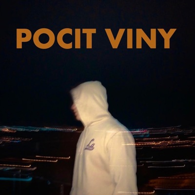 Pocit viny - Single