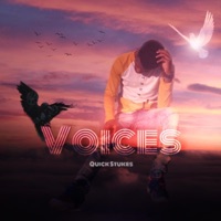 Voices - Single - Quick Stukes