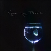 Gin og Tonic (feat. Lille Pablo) - Single - freddie rue