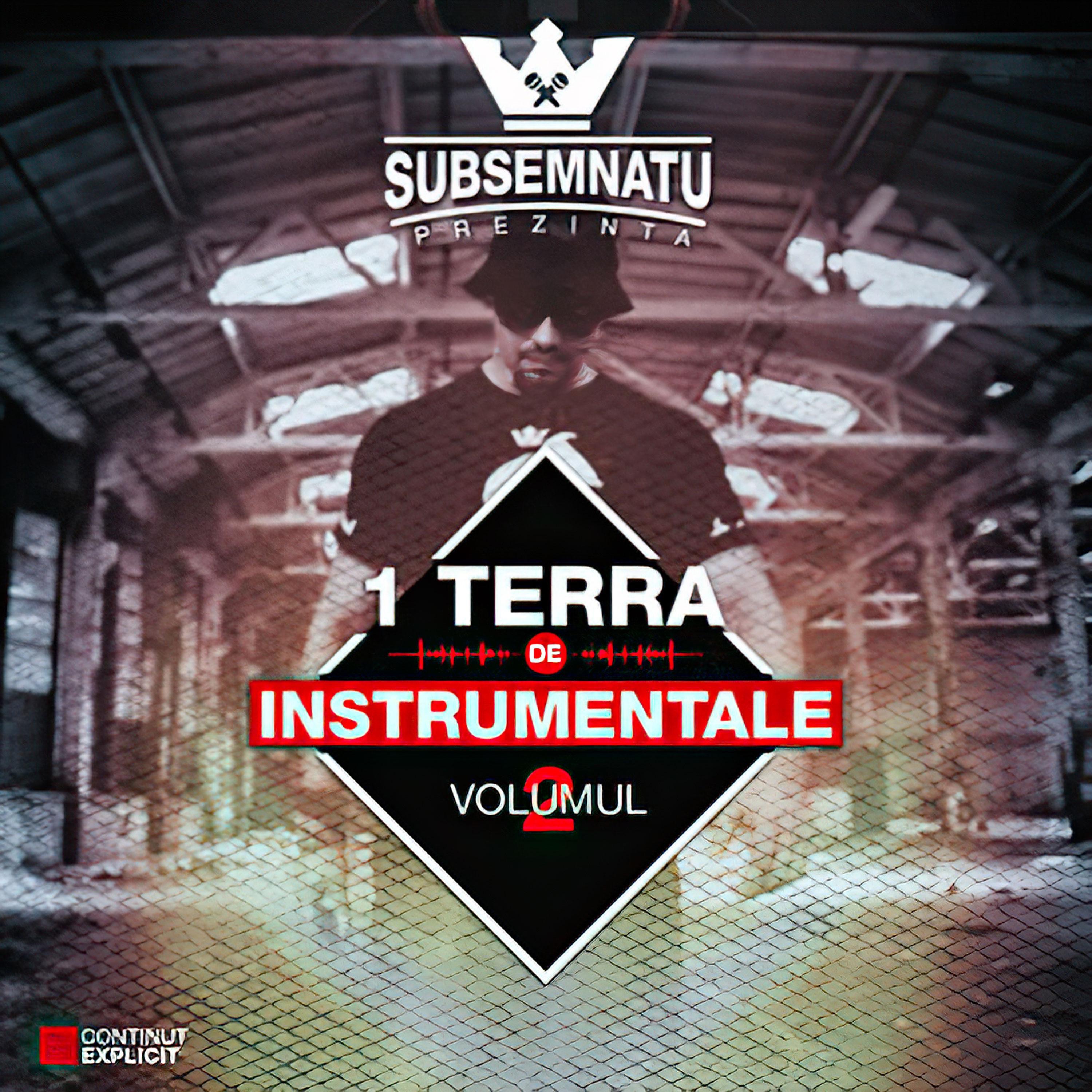 1Terra De Instrumentale Vol.2